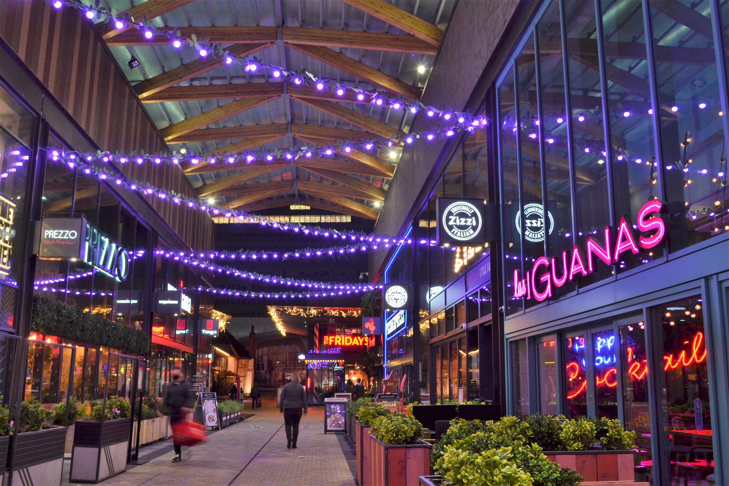 Census purple lights in the Lexicon